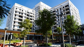 שוק העלייה בית המורה, צילום: כפיר סיוון